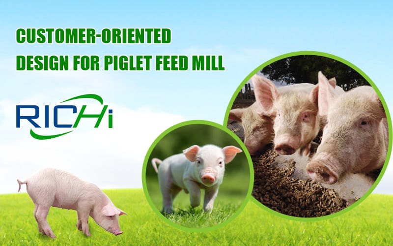 Innovations for Piglet Feed Processing Equipment and Feed Line Production Technology
