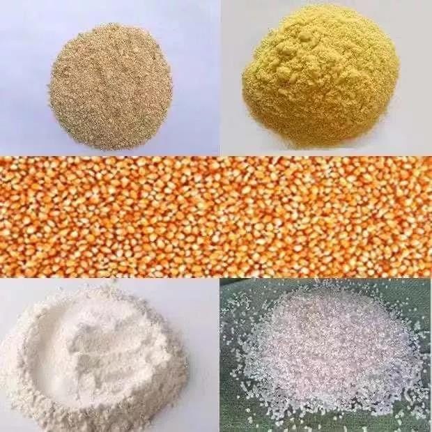 How to make cattle feed using maize corn？