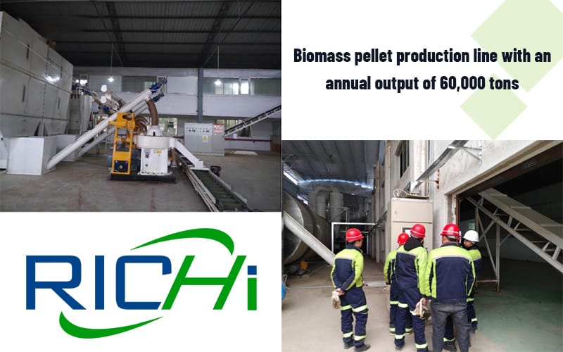 RICHI annual production of 60,000 tons of biomass wood pellet fuel project officially put into operation