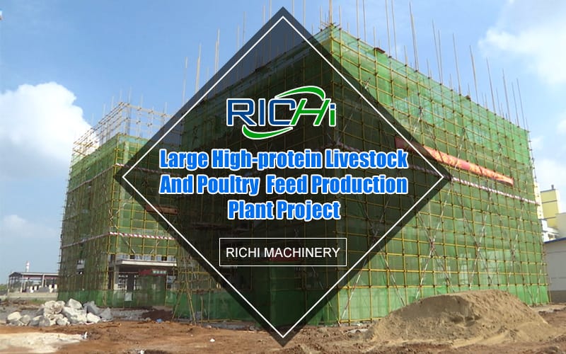 Large automatic 2*80T/H high-protein livestock and poultry feed plant project enters the main structure construction stage