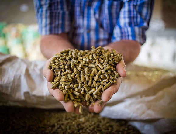 Why Process Pellet Feed For Animals?
