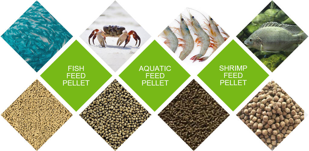 Application of Fish Feed Processing Machine