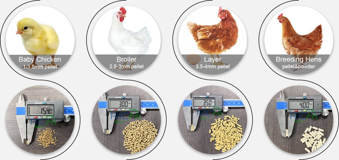 chicken feed pellet