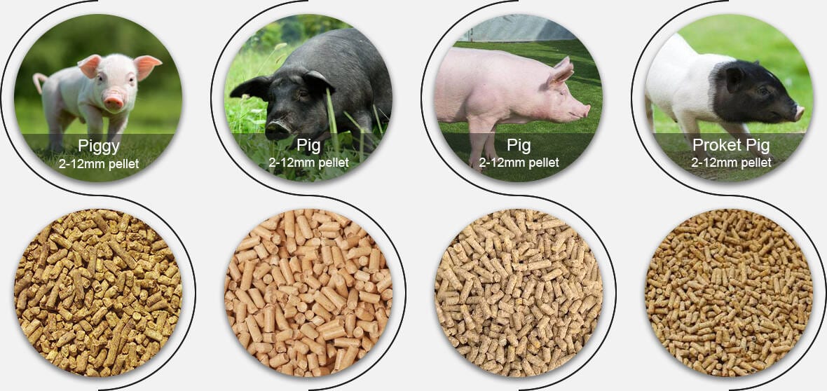 гранулы корма для свиней