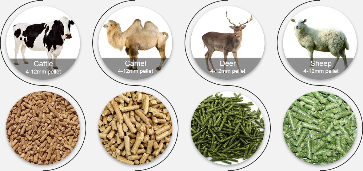 ruminant feed pellet