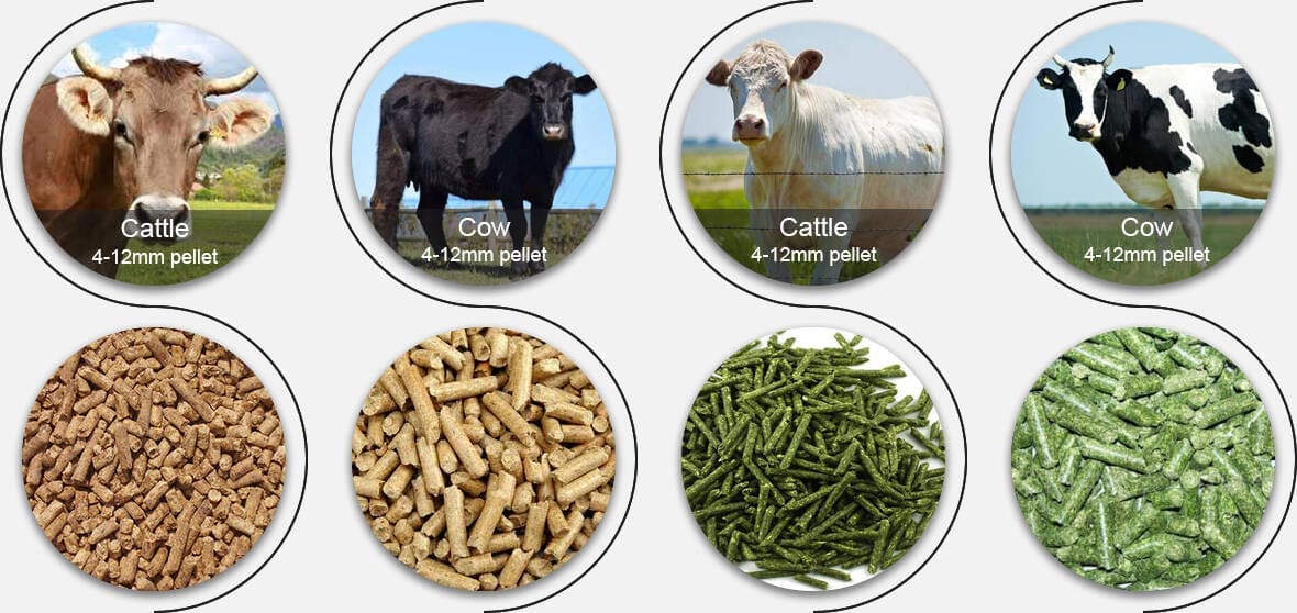 cattle feed pellet