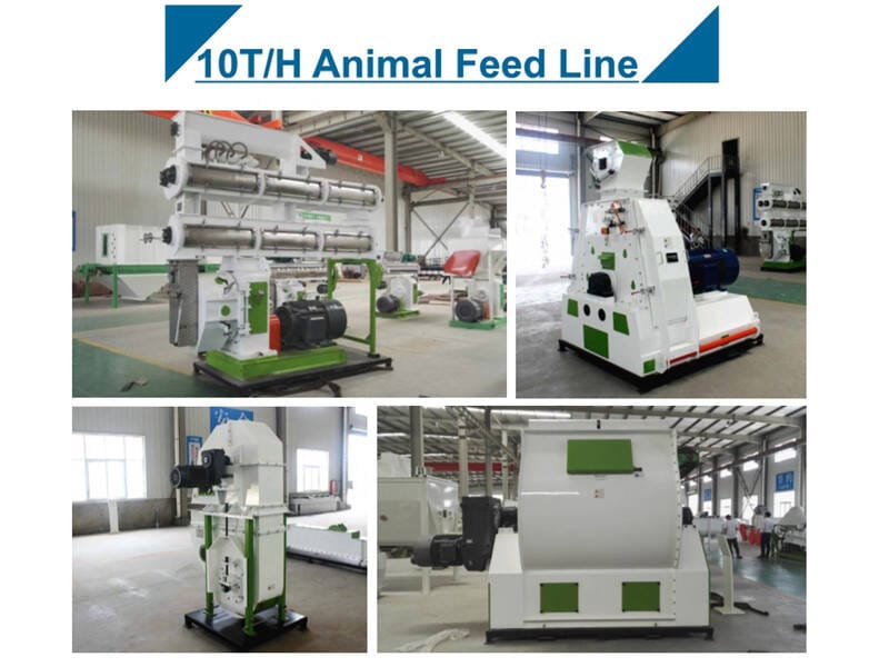 10T/H Animal Feed Pellet Mill