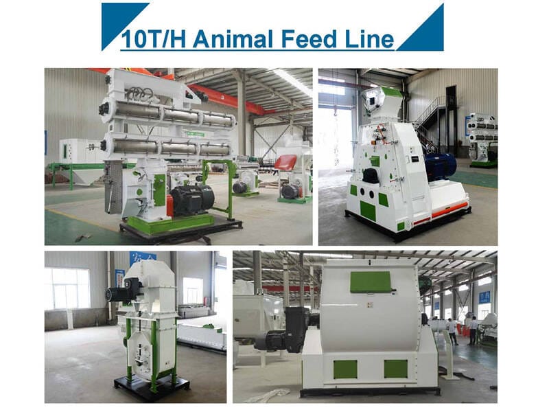 10T/H Animal Feed Pellet Production Line