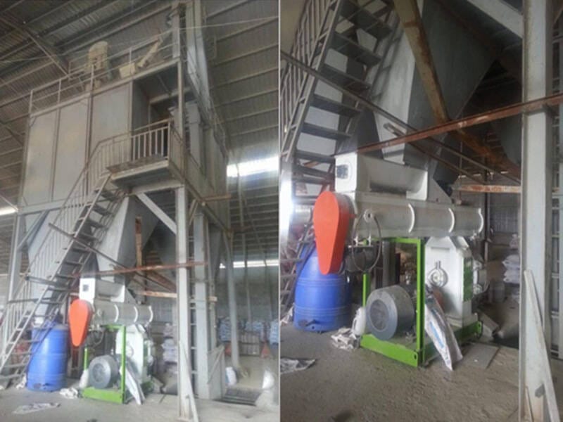 10Ton/Hour Livestock feed pelletizer