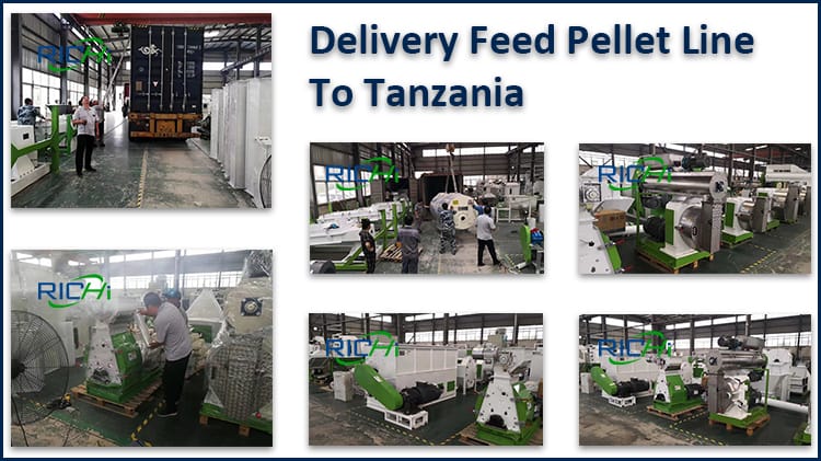 Feed Pellet Line