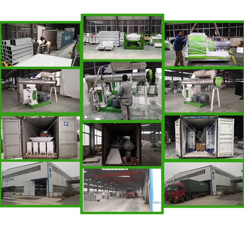 pellet feed production line
