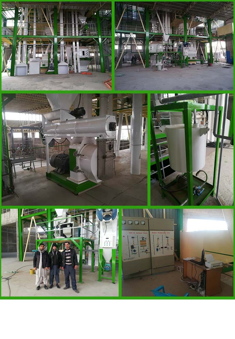 Animal Feed Pellet Production Line