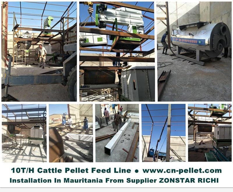 10TPH Cattle Feed Pellet Line