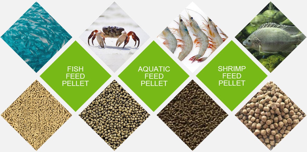 aquatic feed pellet