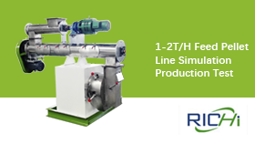 1-2T/H Feed Pellet Line Simulation Production Test in RICHI Workshop