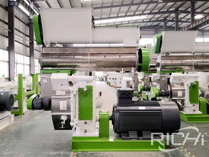 China Richi biomass pellet mill machine for sale