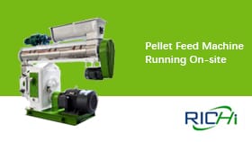 Pellet Machine For Feed, Feed Pellet Machinery, Running On Site