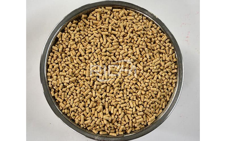 Production technology of germination feed
