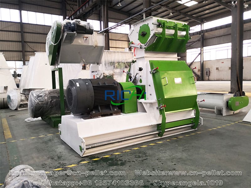 hammer mill feed grinder