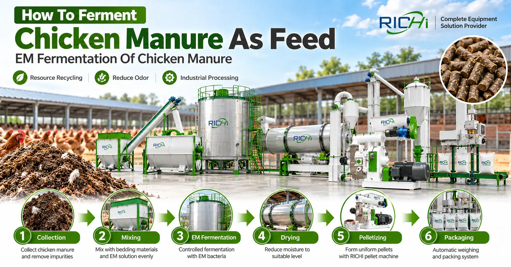 chicken manure em fermentation and pellet processing