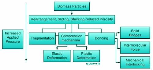 How does a biomass wood pellet mill machine work?