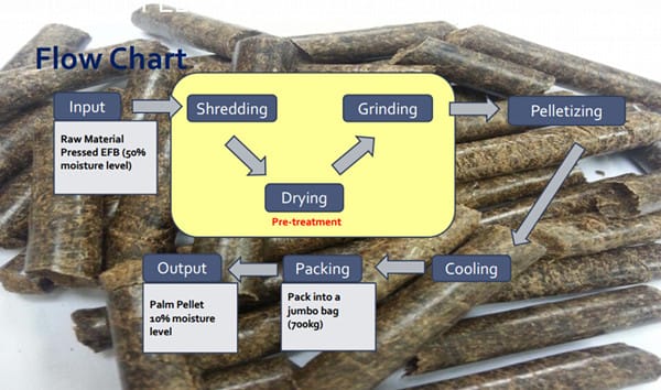 palm fiber pellet line