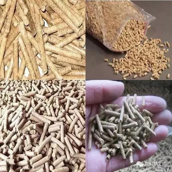 Chicken Feed Pellet Mill Plant