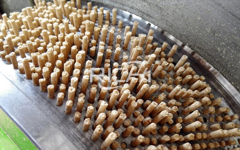 Popular wholesale price small plant chicken feed pellet production line