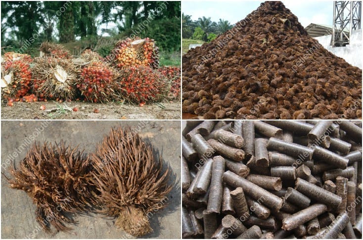 palm kernel shell dryer equipment