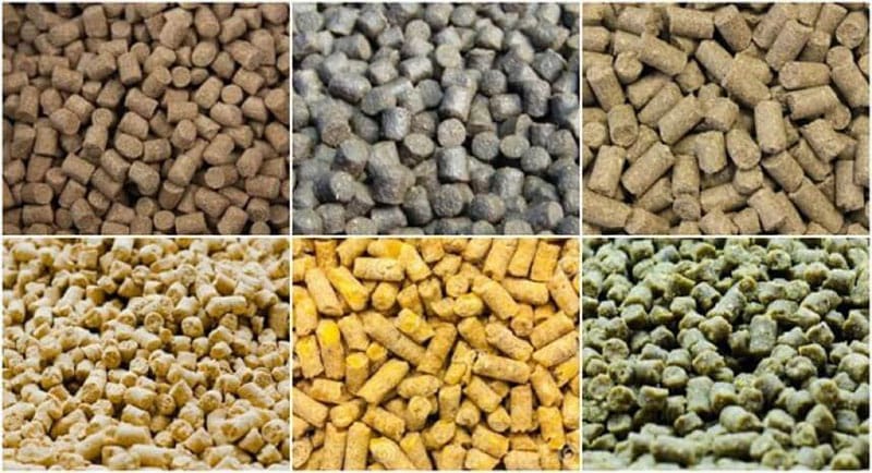 Animal Poultry Chicken Fish Cattle Pellet Feed Making Machine