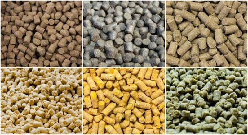 China factory price ce ring die pellet making machine for chicken cattle feed 5 tones per hour