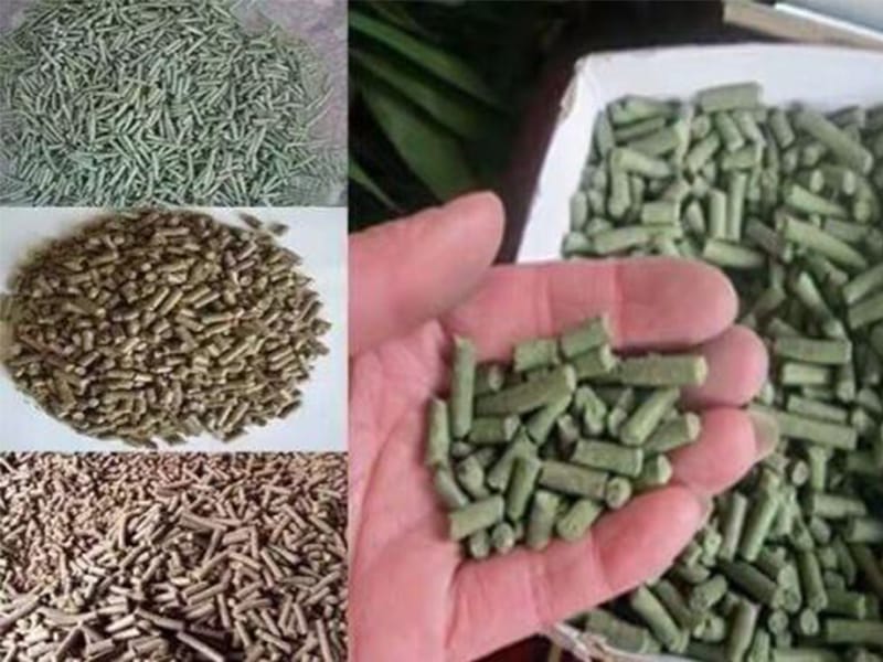 technology for processing soybeans in animal feed