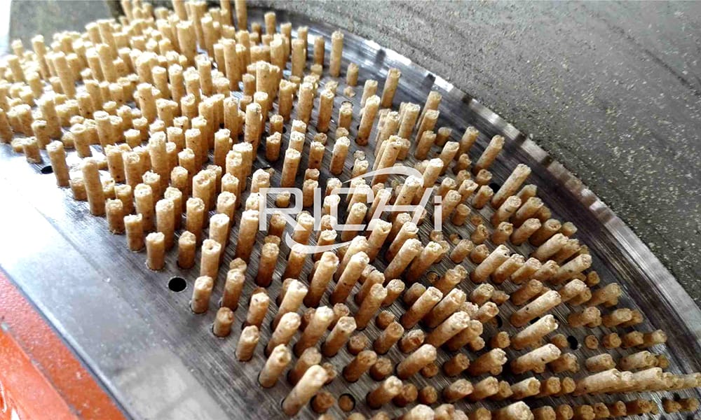 Animal Poultry Chicken Fish feed Processing Equipment