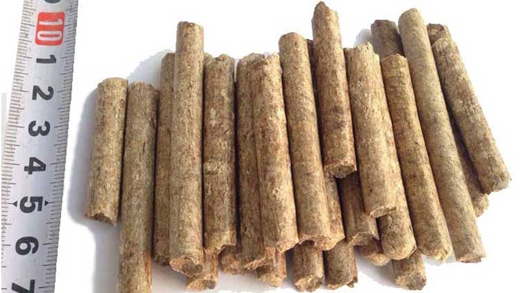 1-40 Ton Per Hour CE High Quality Biomass Wood Pellet Making Plant For Peanut Shell Pellet Production