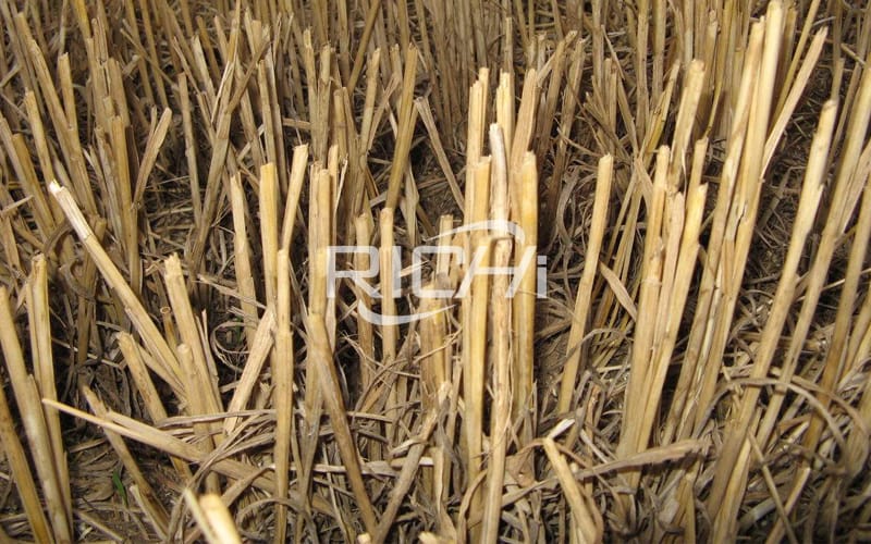 2019 hot products bamboo straw pellet machine