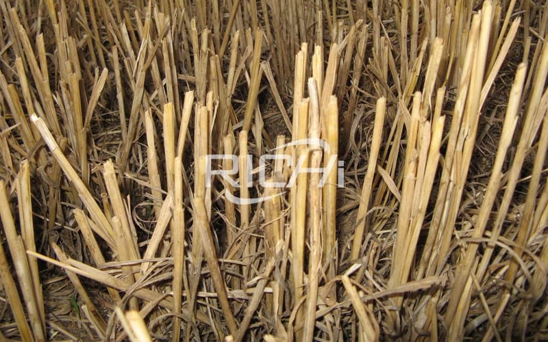 Factory price of super quality biomass straw pellet machine for 1-20tph high quality ce straw wood pellet mill line