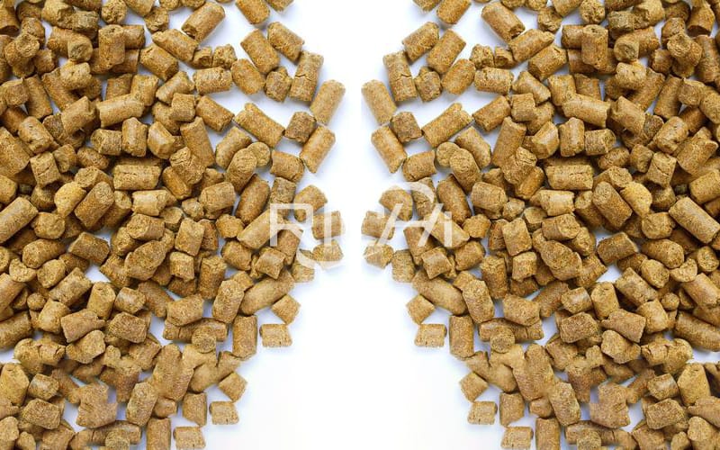 How To Make Poultry Chicken Feed Pellet For Broilers And Layers With Poultry Chicken Pelletizer Machine?