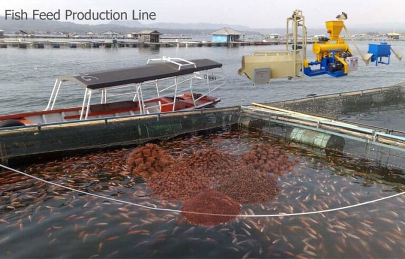 Fish Chicken Pig Feed Production Line