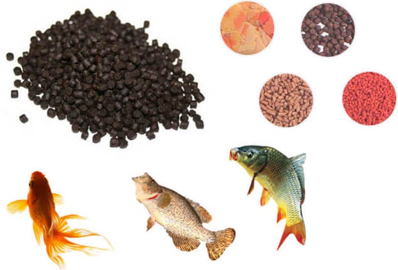 approach on fish feed making in tanzania