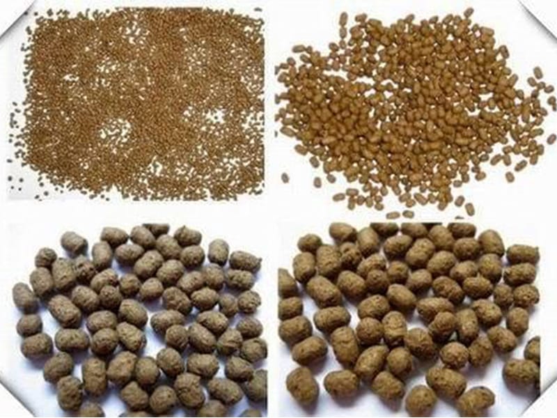 fish feed pelleting equipment in zambia