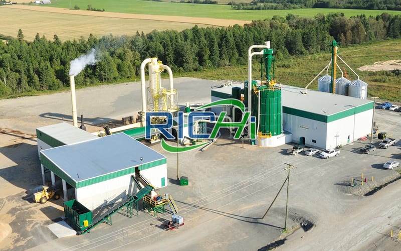 500-700KG/H meilleure conception petite usine de granulés de bois de hêtre compeltely pour les granulés énergétiques en Ukraine