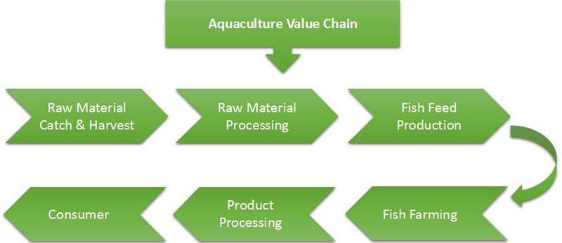 разработка и производство кормов для рыб