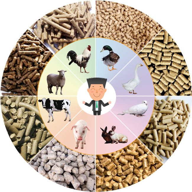 intensive livestock feed production system