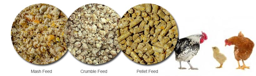 feed lines 3 ton pellet for poultry fully automatic