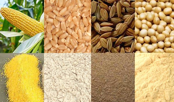 types of animal feed plant source ppt