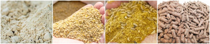 how to make cattle feed with maize residue