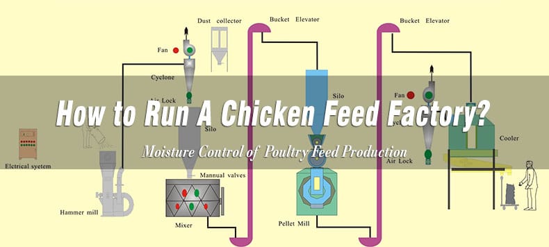 Machine de moulin à granulés d'alimentation de poulet 220v dispositif d'alimentation électrique de 6mm pour l'alimentation animale à haut producteur