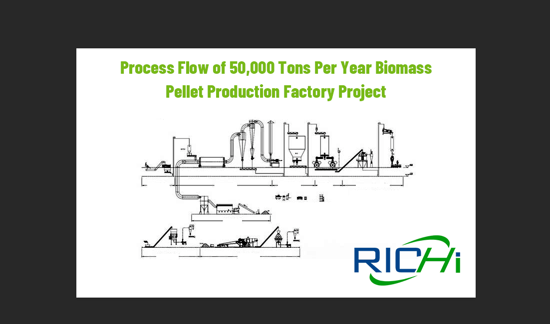 Ligne de production de granulés de déchets de paille de bois de biomasse de bagasses de canne à sucre 20tph CE