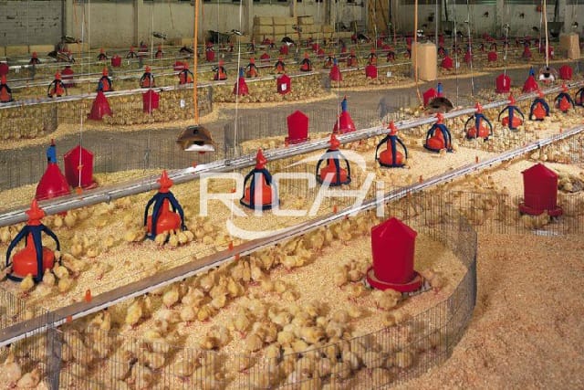 Линия по переработке порошкового корма для птицефабрики производительностью 6 т/ч