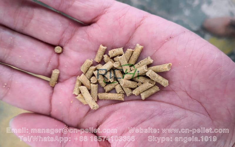 2mm 3mm 6mm 8mm farm animal pellet chicken feed pellet duck mill machine